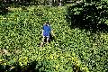 [ pilt: 025  IMG_3546  XC  .JPG ]